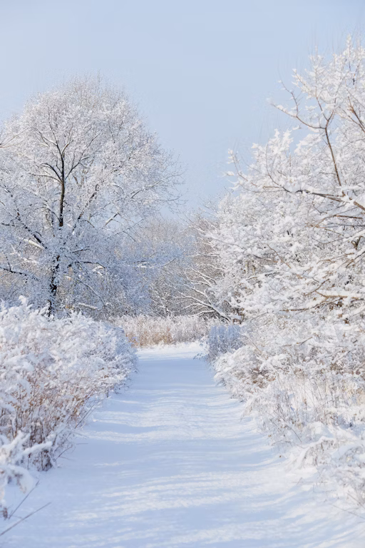 Ai Integration Best Practices